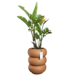 amber roll high 43cm caramello